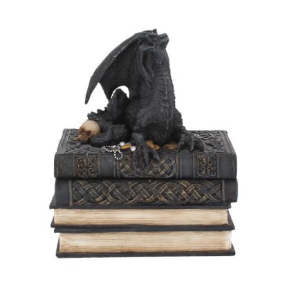 Picture of Secrets Of The Dragon 19cm