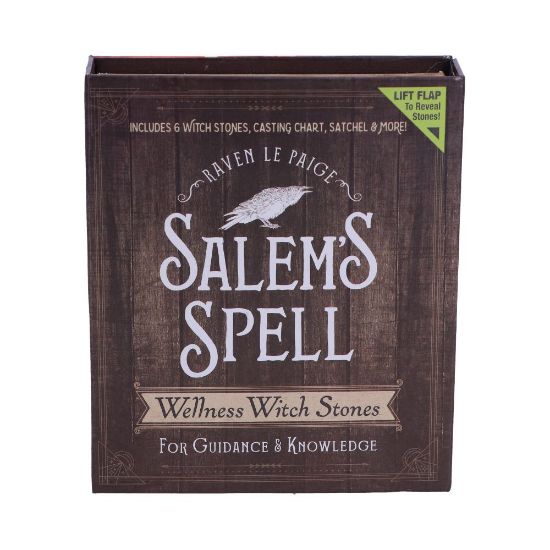Picture of Salem's Spell Kit