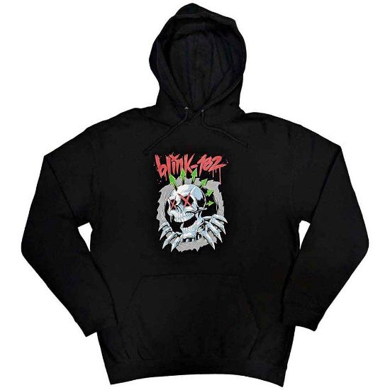 Picture of Blink-182 Unisex Pullover Hoodie: Six Arrow Skull