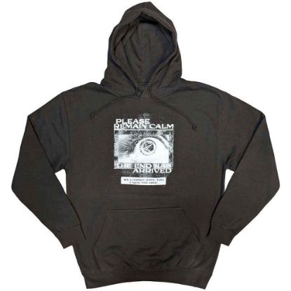 Picture of Bring Me The Horizon Unisex Pullover Hoodie: Remain Calm FP