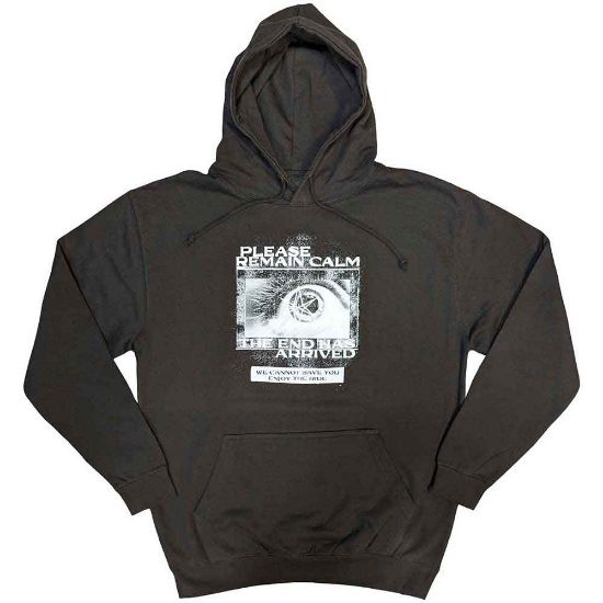 Picture of Bring Me The Horizon Unisex Pullover Hoodie: Remain Calm FP