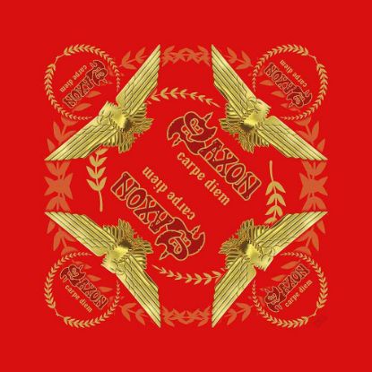 Picture of Saxon Unisex Bandana: Carpe Diem