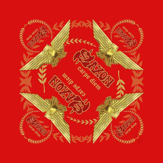 Picture of Saxon Unisex Bandana: Carpe Diem