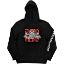 Picture of Baroness Unisex Pullover Hoodie: Fall Sleeve Print